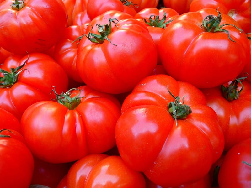 Fresh Ingredients